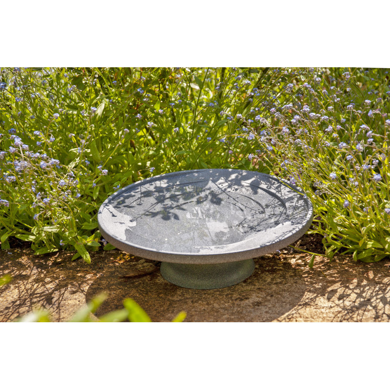 Minonk Plastic / Acrylic Birdbath
