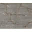 Wool Floral Area Rug in Gray