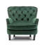 Higgenbotham Velvet Wingback Accent Chair with Button-Tufted Back and Nailhead Trim-37971316