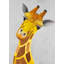 Curieux girafe - faune, cadre africain