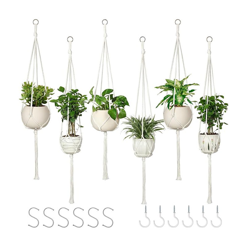 Ayston Planter