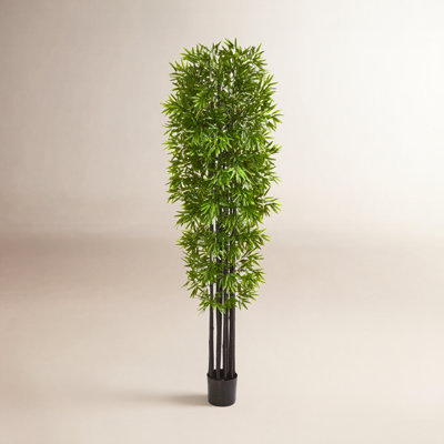 84" Bamboo Tree in Pot