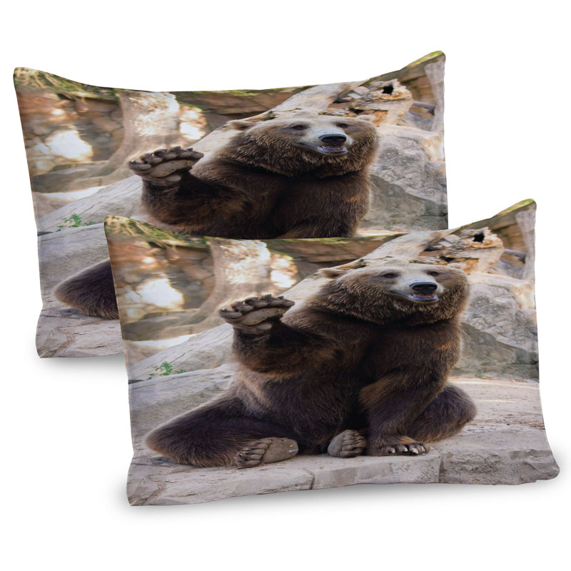 Ensemble de 2 taies décoratives pour ours Ambesonne, H 20 po x l 30 po