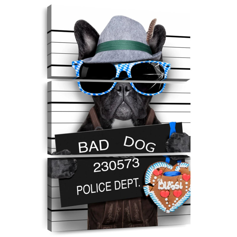 Bouledogue français Brampt Bad, H 45 po x l 28 po