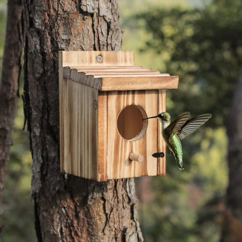 Boîte à nid d'oiseaux