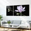 Fleur de magnolia mauve sur fond noir, impression sur toile tendue, ensemble floral moderne (ensemble de 3)-274708516