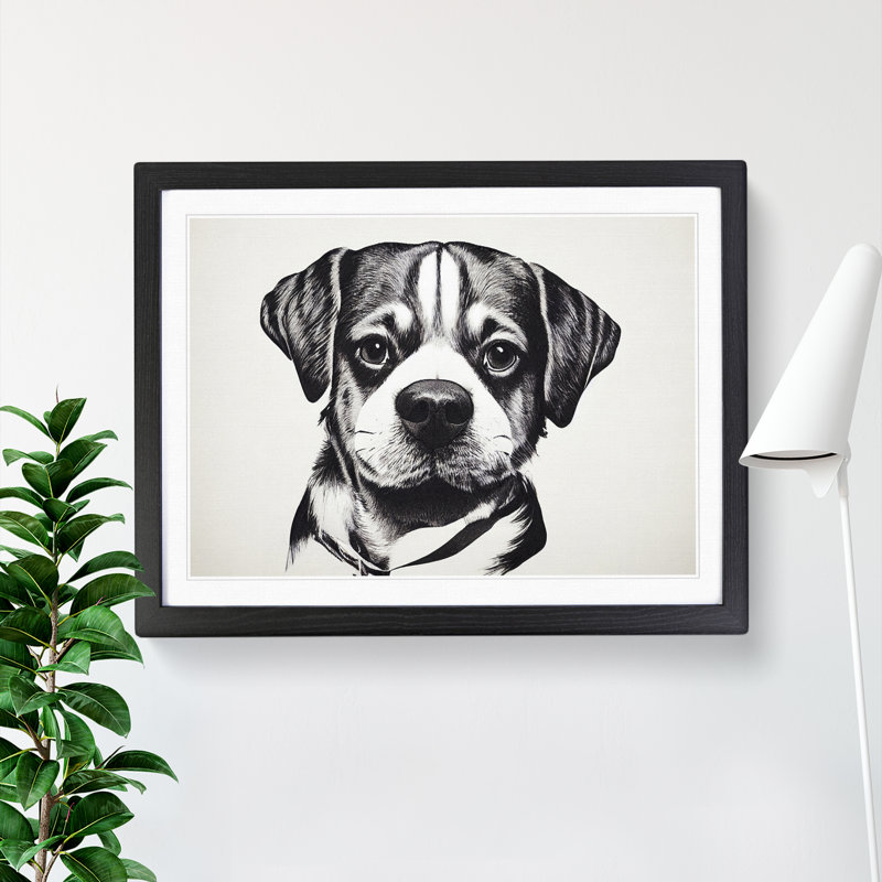 Dog Vol.9 - Single Picture Frame Print, Black, 46cm H x 64cm W