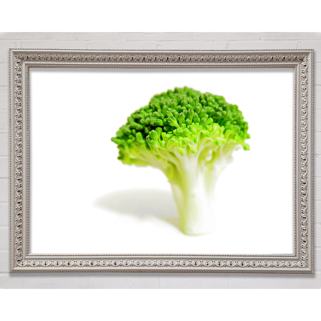 Gerahmtes Leinwandbild Brocolli Stem