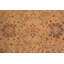 Agra One-of-a-Kind 11’8”x15’ Hand Knotted Area Rug