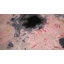 One-of-a-Kind No Area Rug