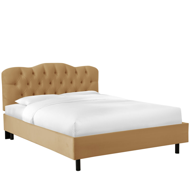 Pires Upholstered Platform Bed, Queen, Classic Blush Performance Velvet
