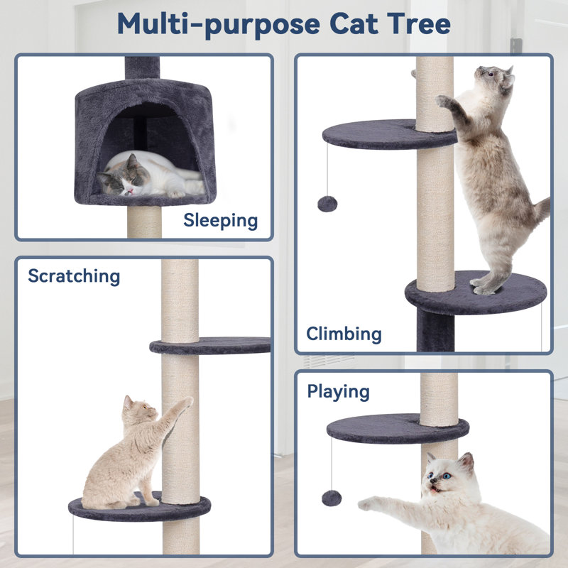 220cm H Cat Tree, Blue