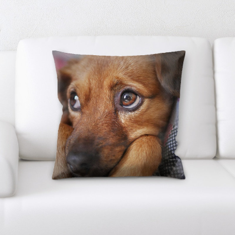 Coussin pour chien