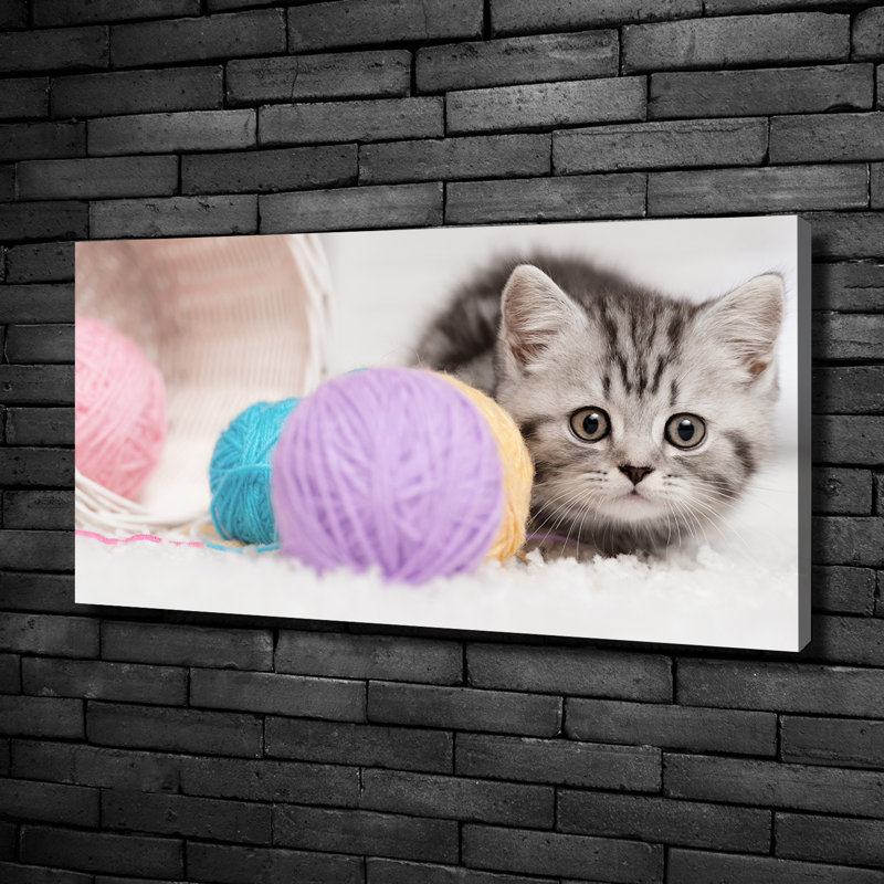 Cat With Hanks - Wrapped Canvas Print