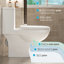Toilette de 17 po de hauteur avec système 1,1 / 1,6, cuvette sans rebord, siège à fermeture en douceur, blanc brillant 006 pour salle de bain à double chasse moderne, lavabo, lustre doux