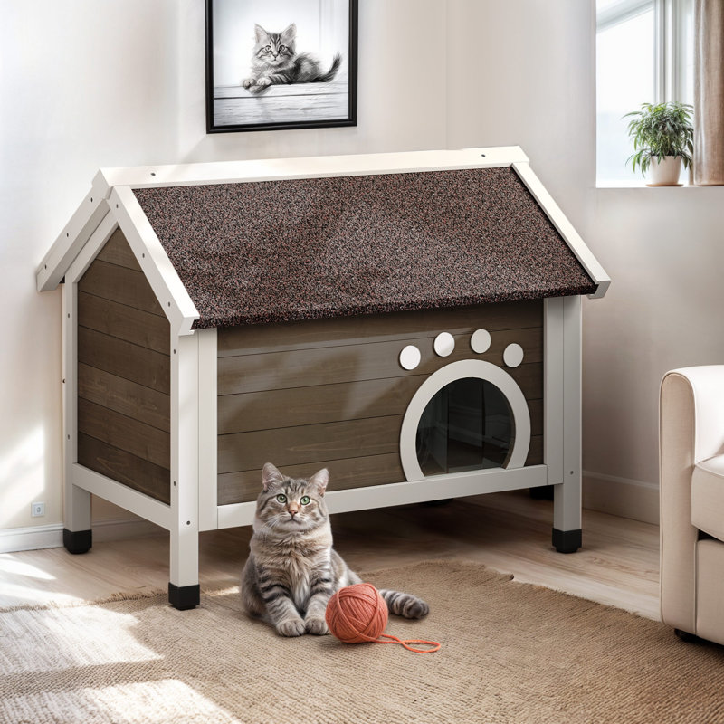 Maison pour chat Filimon