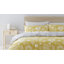 Ochre-47822290