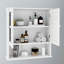 Armoire murale moderne pour salle de bain