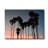 " Venice Beach "-299696809