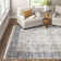Tabitha Oriental Indoor Rug