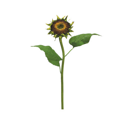 Sunflower Arrangement