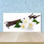 Lody 50cm W x 100cm L Glass Peel and Stick Panel