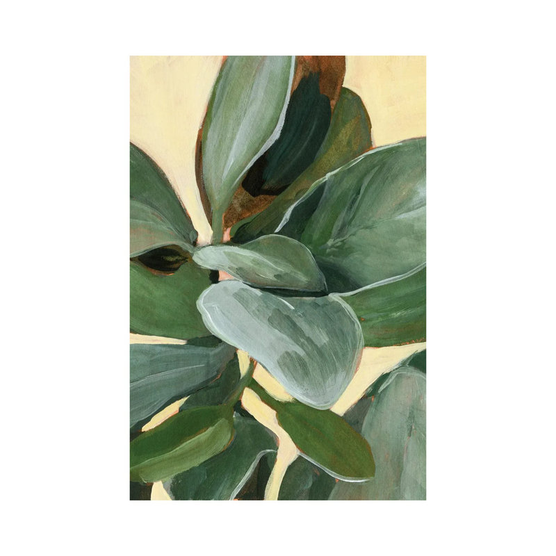 Plant Study I by Annie Warren - Wrapped Canvas Painting, 101.6 cm H x 66.04 cm W x 3.175 cm D