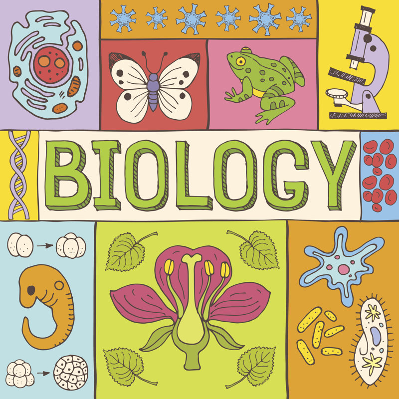 «Biology», affiche, impression sur toile tendue, H 36 po x l 36 po