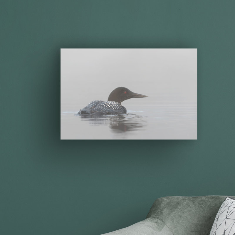 «Common Loon in Early Morning Fog» par Jim Cumming - reproduction de photo sur toile tendue, H 30 po x l 47 po x P 2 po