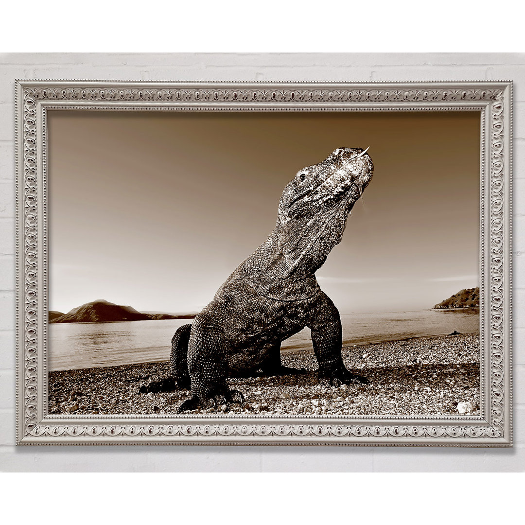 Strand Komodo Drache - Einzelner Bilderrahmen Kunstdrucke