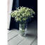  Irish Lace Mastercraft Vase-66478588