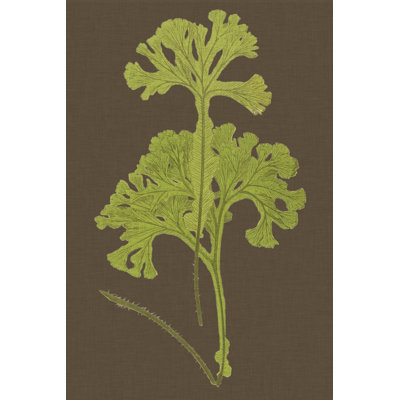 Ferns On Linen II - Wrapped Canvas Art Prints