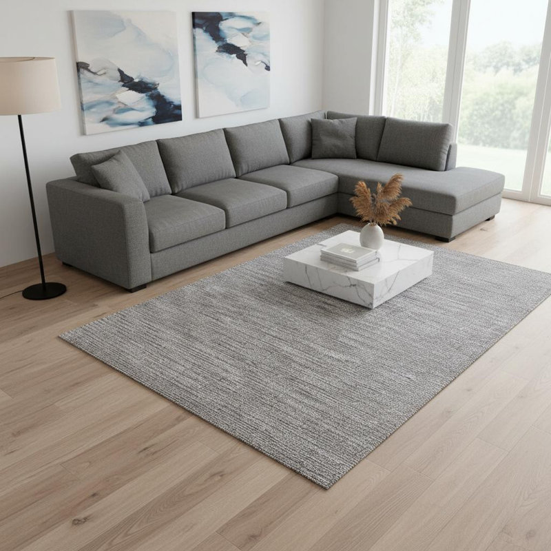 Tapis gris 7 pi x 10 pi