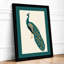 Elegant Peacock Profile Botanical - Framed Print-396442887-396442888