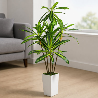 Arbre Dracaena de 6 pi avec feuilles réalistes et pot de fleurs pour décoration intérieure