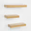 Chanceton 3 Piece Floating Shelf