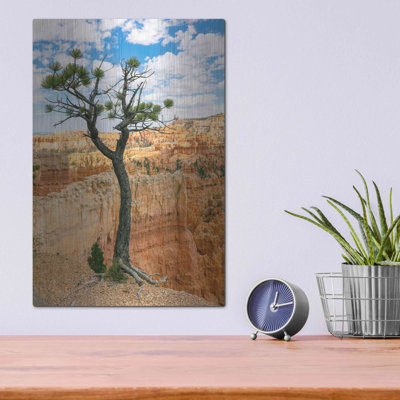 «Utah Bryce Canyon Tree» par AKG