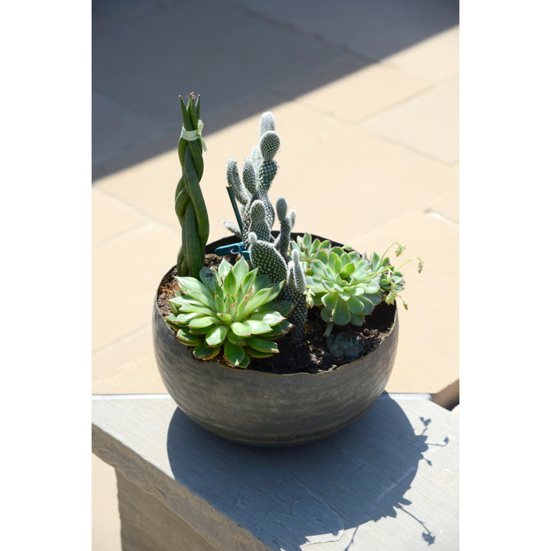 Galini Metal Pot Planter