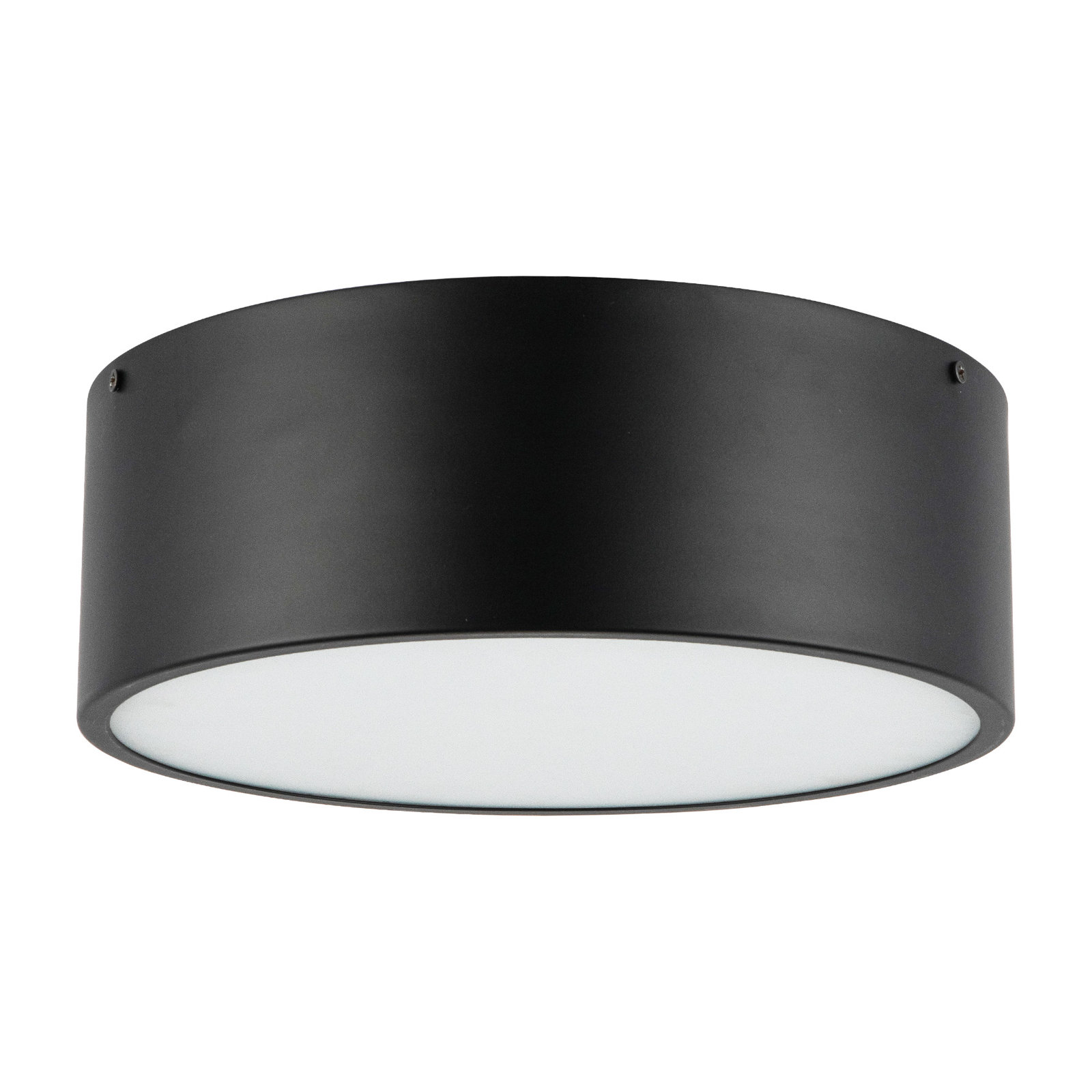 Mossy 2-Light Flush Mount, Matte Black