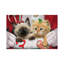 Santa's Surprise - Print on Canvas-2104630194-2104630186