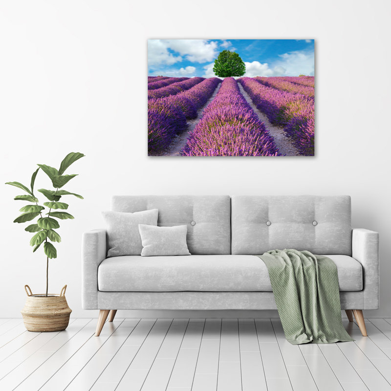 Lavender Field - Wrapped Canvas Print