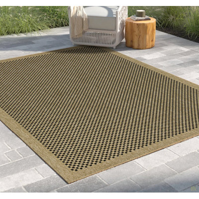 Terre 5 pi. 3 po X 7 pi 3 po Tapis intérieur / extérieur