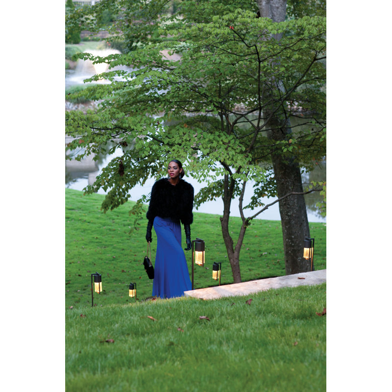 Shelter Low Voltage Metal Pathway Light, Black