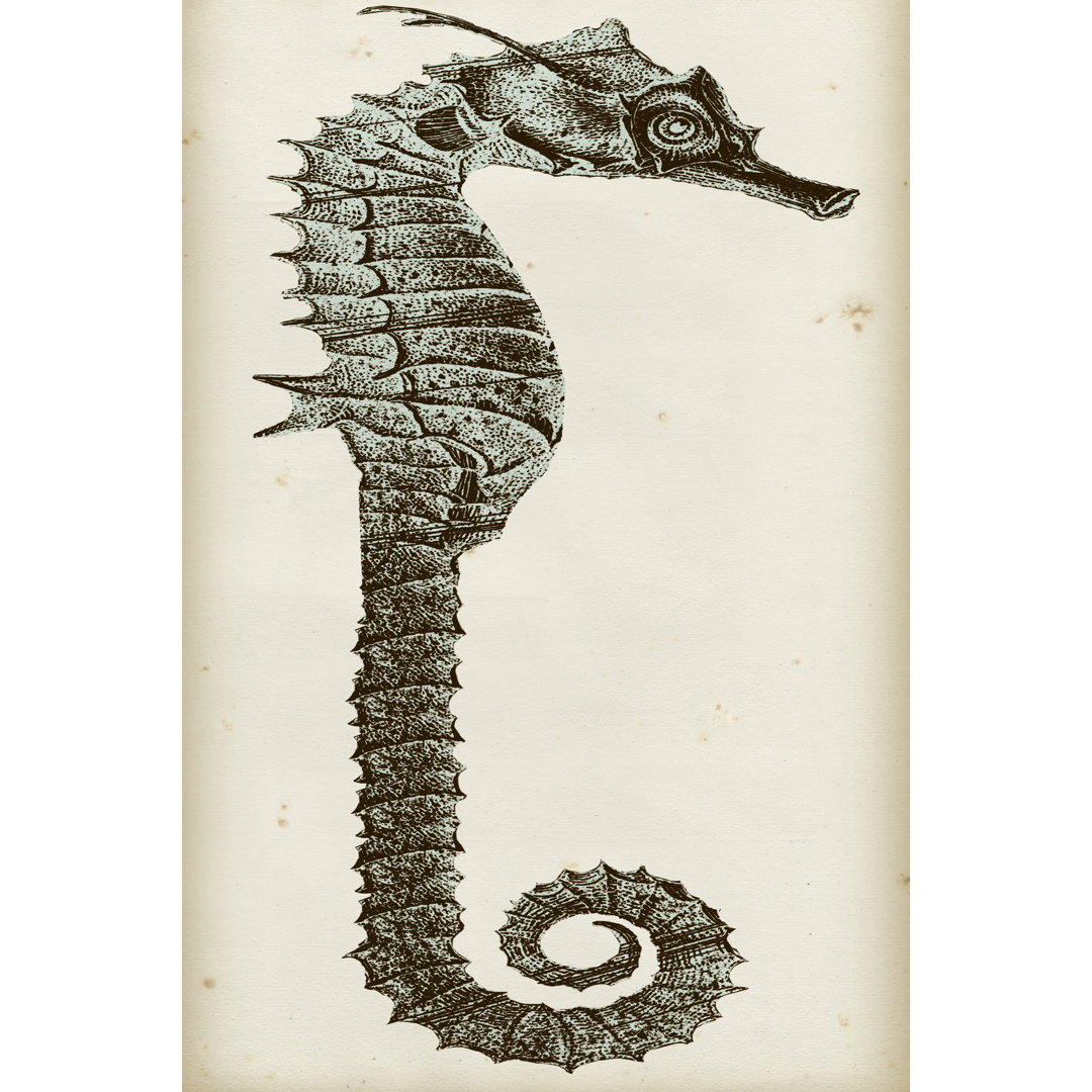 Leinwandbild Vintage Seahorse II