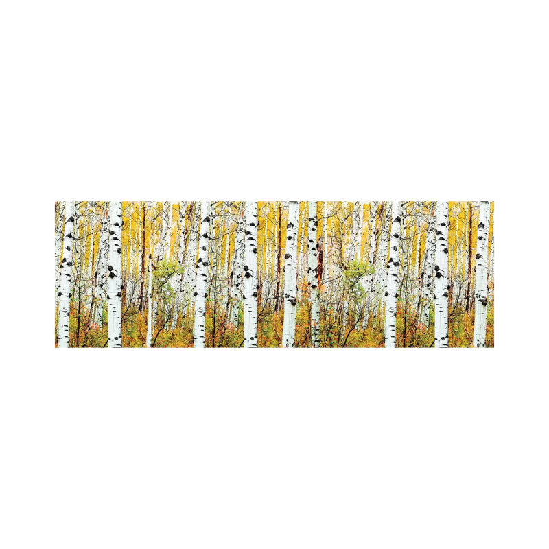 Aspen Trees Panorama, Colourado by Susanne Kremer - Wrapped Canvas Panoramic Print, 182.88 cm H x 60.96 cm W