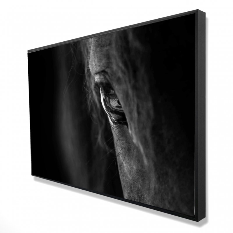 «Black Horse» sur toile