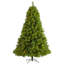 Lighted Artificial Pine Christmas Tree-553794181