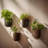 Elayna Venus 2 - Piece Plastic Wall Planter Set-1072974939