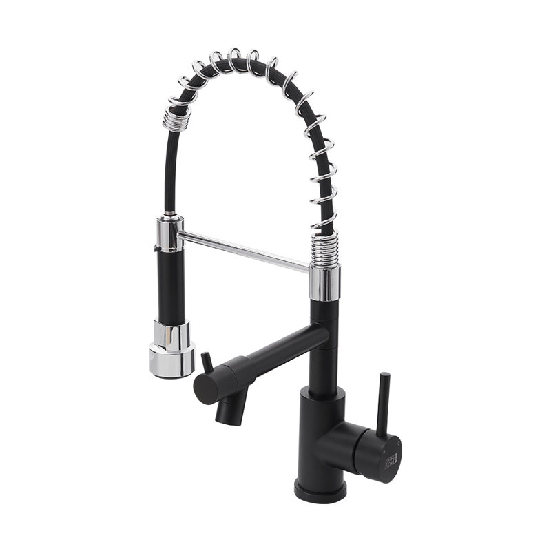Belfry Kitchen Pull Out Kitchen Faucet