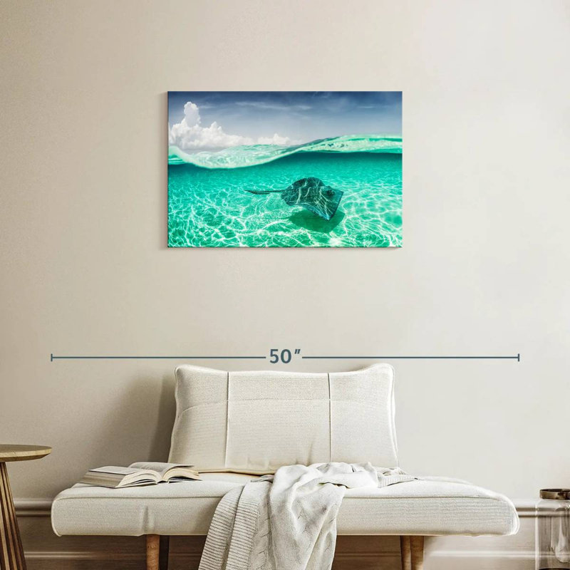 Brama Manta Ray sous l'eau, H 20 po x l 30 po